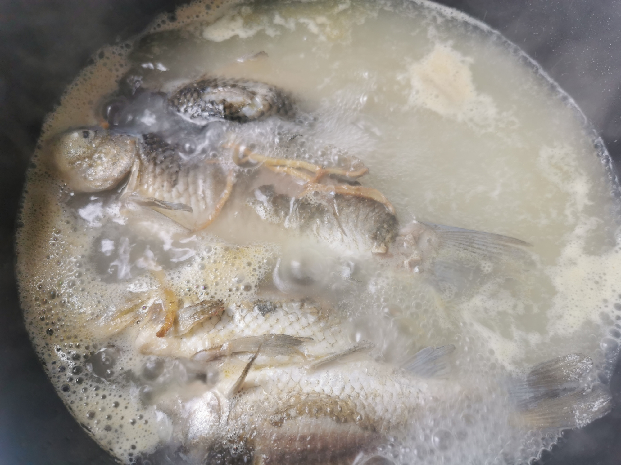 老人喝什么鱼汤最好,什么鱼不适合熬鱼汤