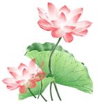 露营抓住五一假期的小尾巴,昌平民宿自驾游推荐