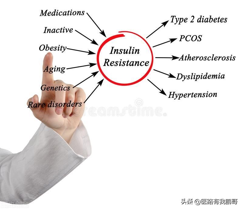 胰岛素抵抗吃多少千卡,胰岛素抵抗能吃荤菜吗