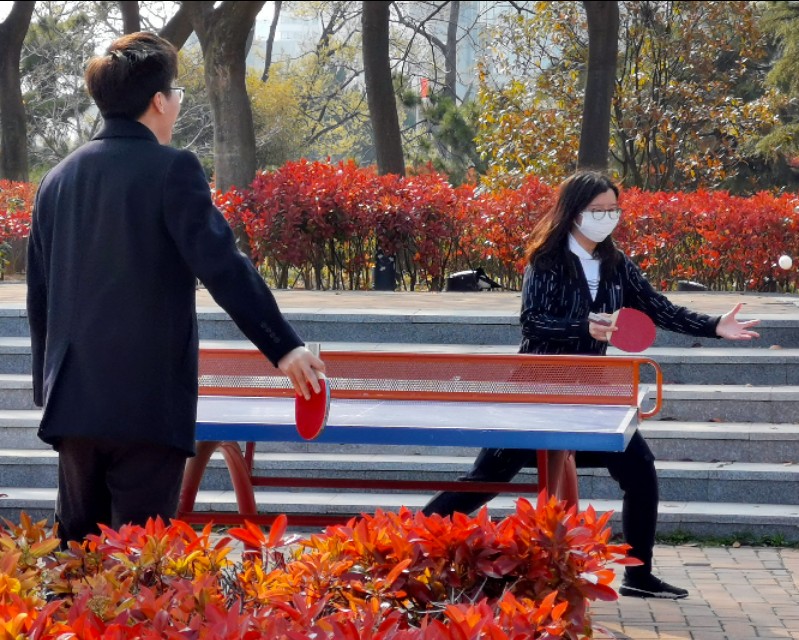 面朝大海春暖花开的背景音乐,面朝大海春暖花开歌曲