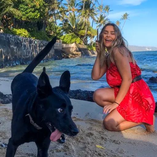 领养狗狗新西兰,新西兰如何养宠物狗狗呢