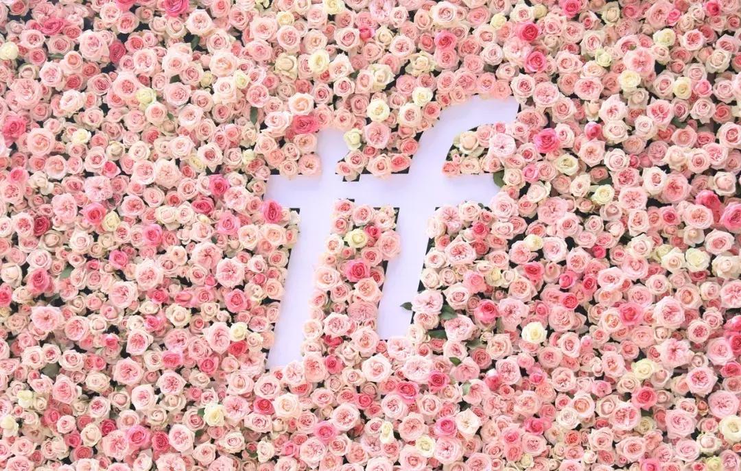 ifer来信|总被问if是什么?她是美好的存在