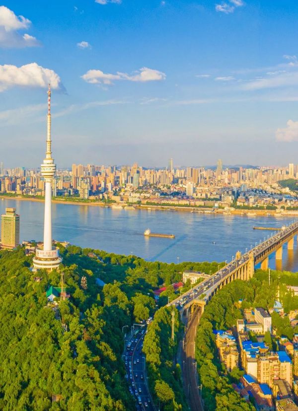 武汉新起点,武汉新起点学校