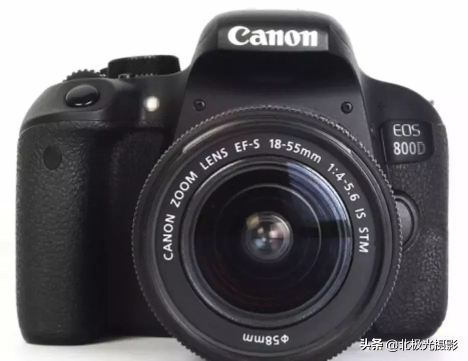 拍摄鸟类照片技巧,拍摄鸟儿照片技巧