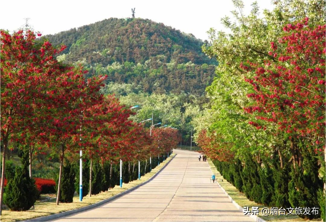 烟台长岛十一假期,十一假期玩转长岛