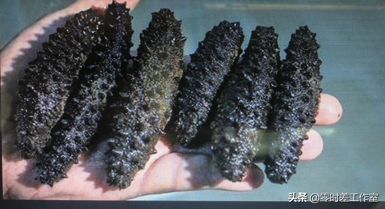 进博会必买的10件产品,进博会都有什么展品可以买得到