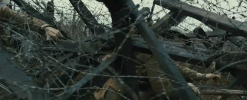 金刚川电影最新,金刚川电影概述