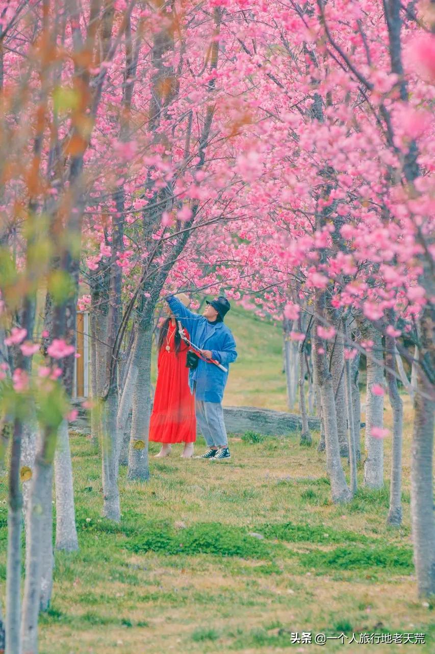 情侣必去的十大旅行胜地,中国情侣必去的国内十大浪漫圣地