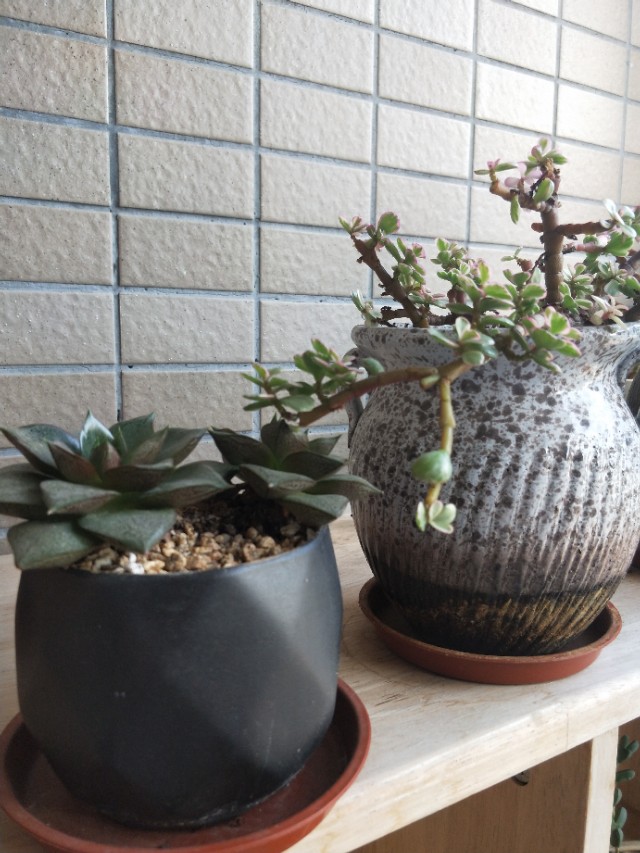 零投资零成本快速创业,怎么样零成本创业