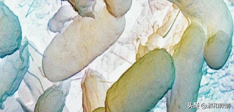 甲硝唑片的说明书用量看不懂,甲硝唑片说明书范文