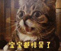 睡不醒的贞子,爱睡觉的贞子