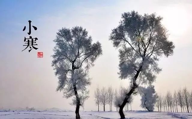 24节气适合喝什么茶,一年最热的节气宜喝什么茶