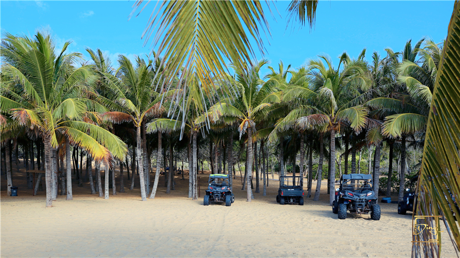 陵水猴岛与呆呆岛之旅,三亚猴岛呆呆岛有必要去吗