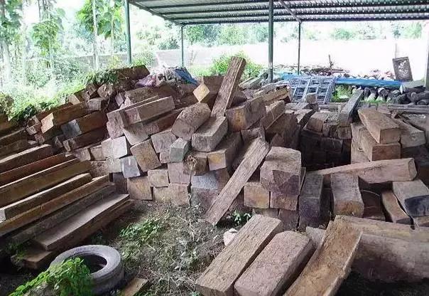 新手入门快速了解文玩,收藏知识大全