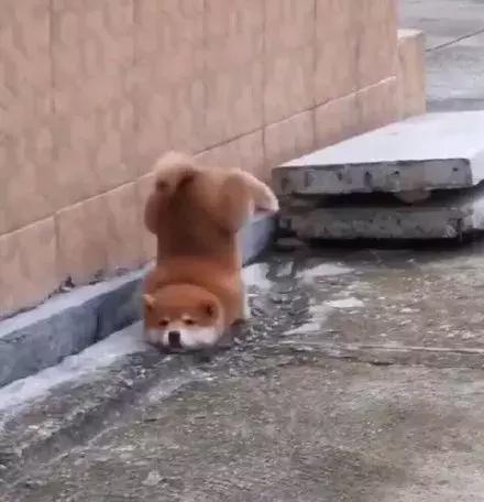 日式小颜整骨合法吗,日式小颜整骨可以维持多久