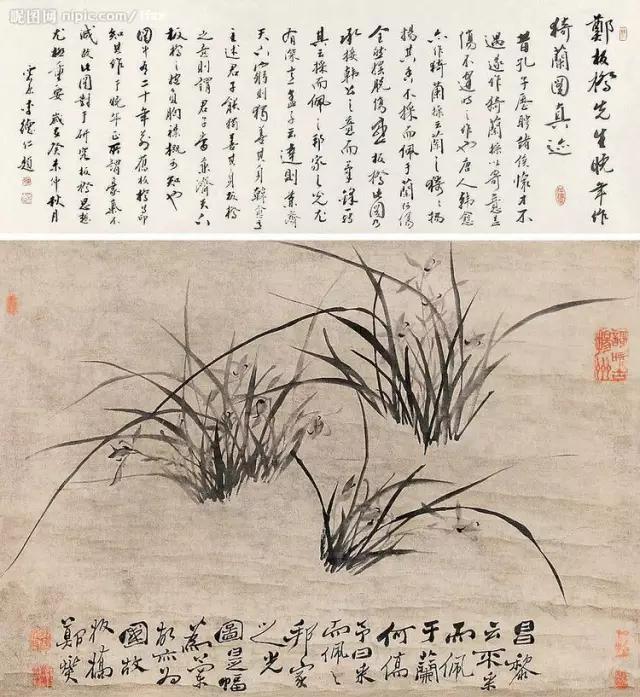 赏析郑板桥写意兰花画,郑板桥题画兰草书图片