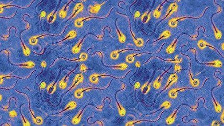 冷知识男人的小秘密,冷知识海洋的秘密