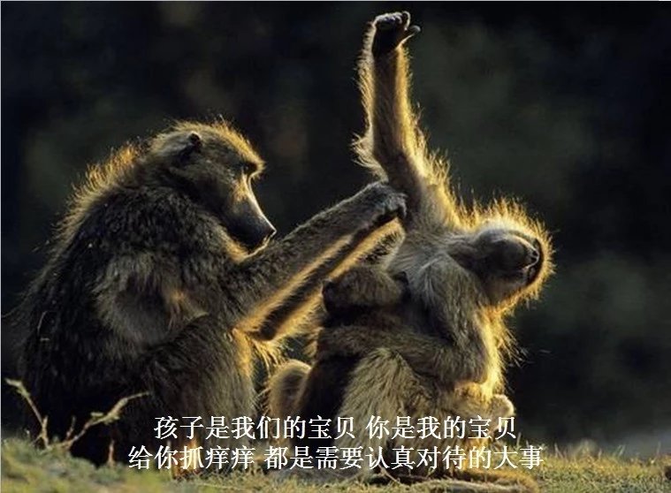 我只想说声爱你,只想再爱你一次