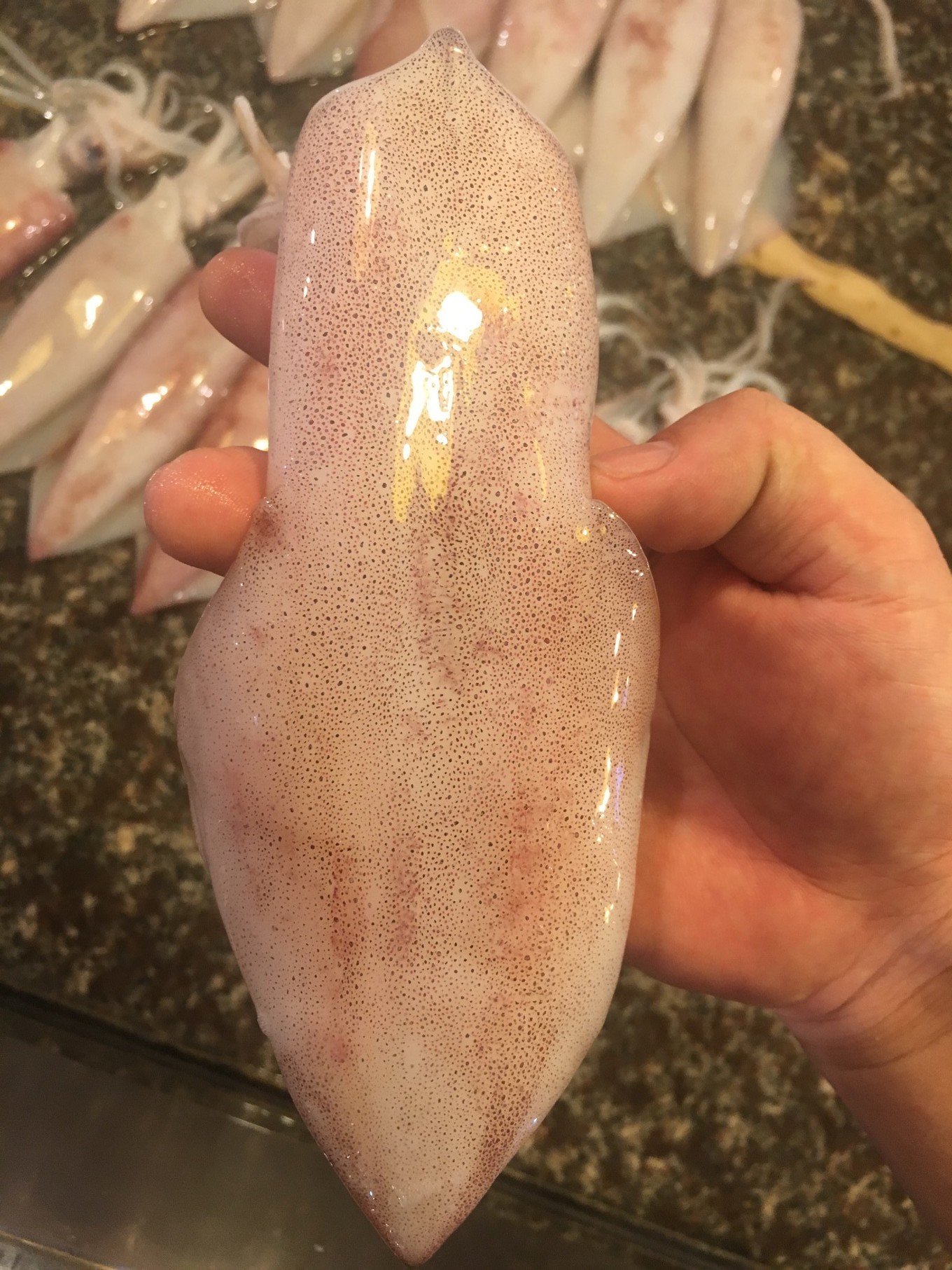 三亚旅游吃海鲜防宰攻略,三亚蜈支洲岛吃海鲜攻略