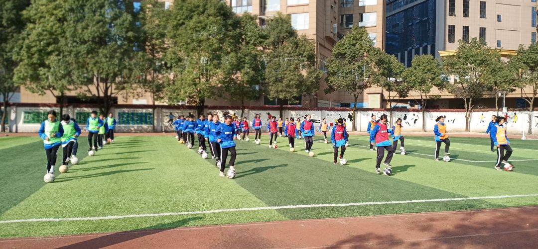 群文阅读学习研讨会简报,群文阅读教学专题研讨会