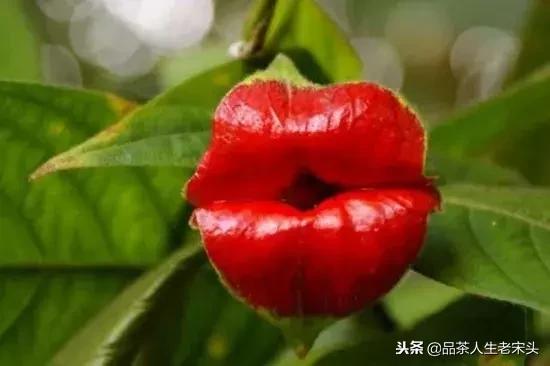 最新世界十大“怪”，最后一个太绝了！