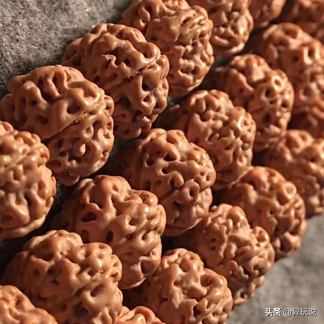 新手推荐什么金刚,骨灰级玩家技巧