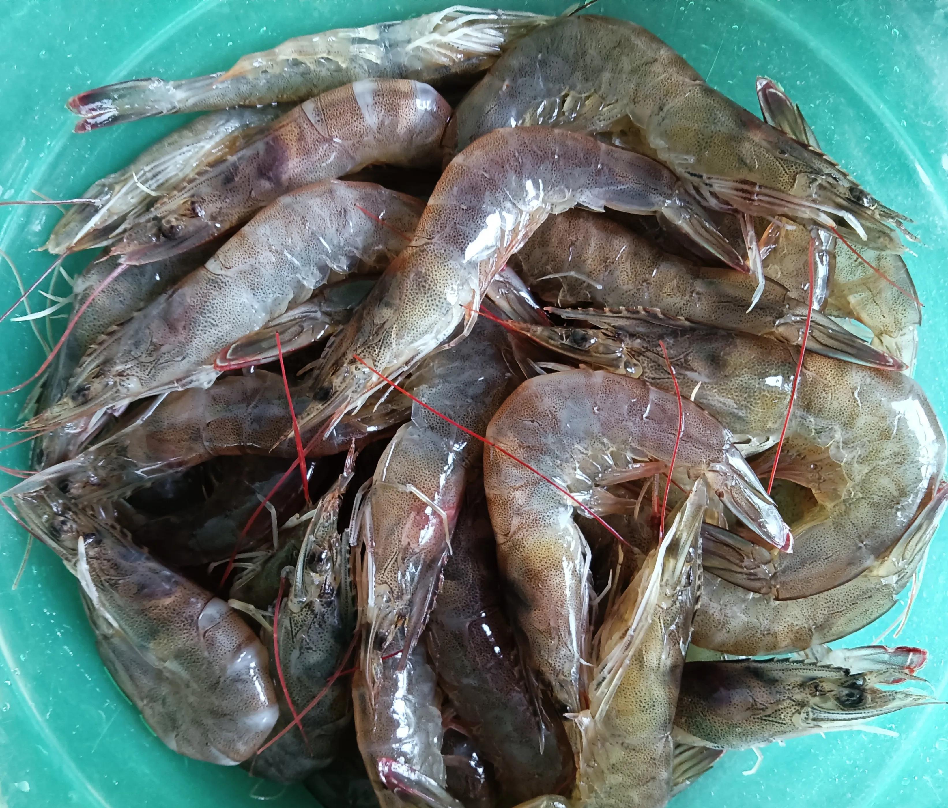 干贝虾仁炒时蔬,干贝虾仁菜谱下饭