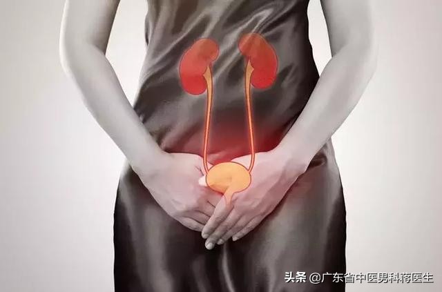 尿频要怎么预防推荐6个妙招,尿频很烦人