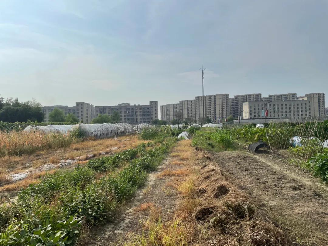 从城中到新建路现在通吗,从乔司地铁站到杭州东站多久