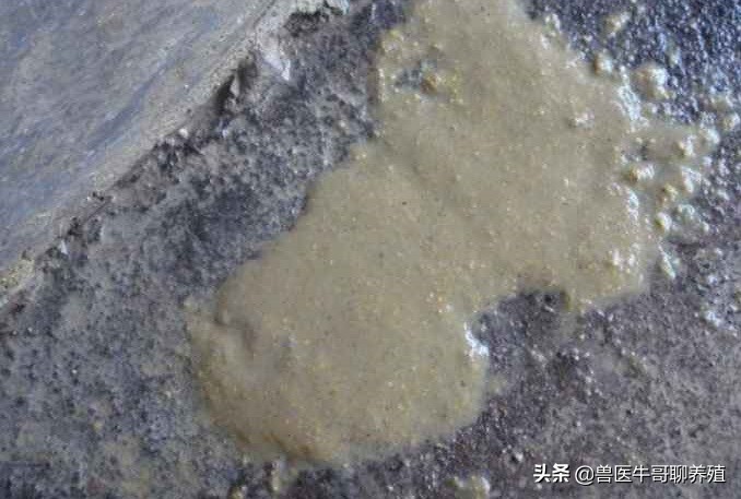 庆大霉素治疗仔猪拉稀用量是多少,断奶仔猪拉稀呕吐怎么治疗