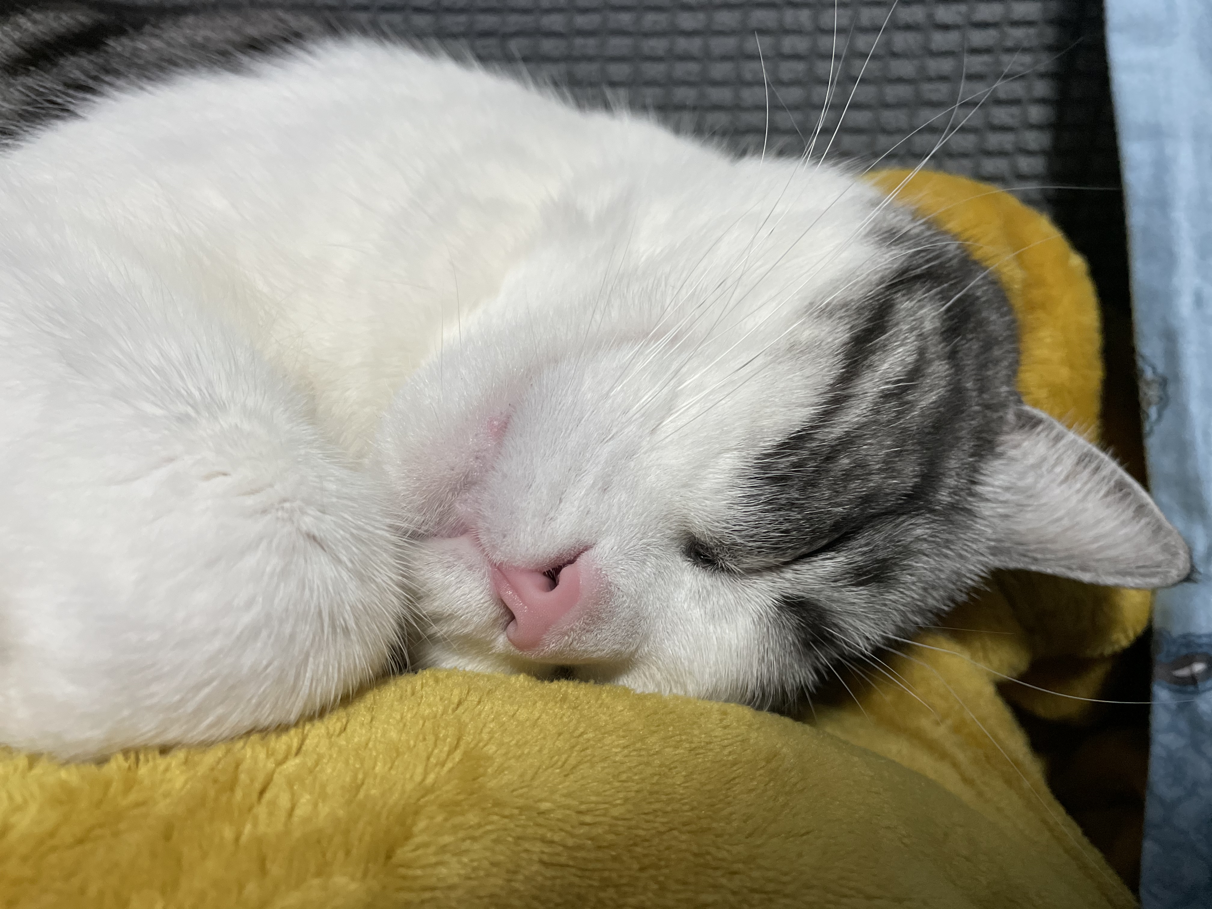 加强进攻的同时也要注意防守,先想好防守才是进攻的思路