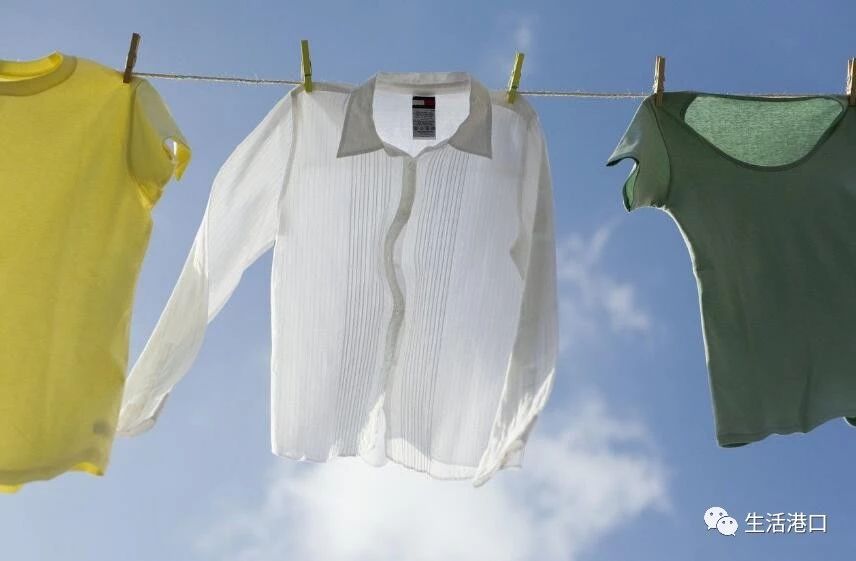 有什么小妙招消灭臭虫,生活小妙招除蚊虫