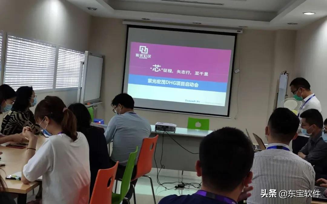 东宝软件系统缺点,东宝软件好用吗