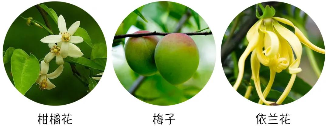 你沐浴后的味道,简直让人怦然心动