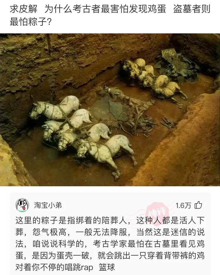 那些网友的神回复,那些网友们的神回复