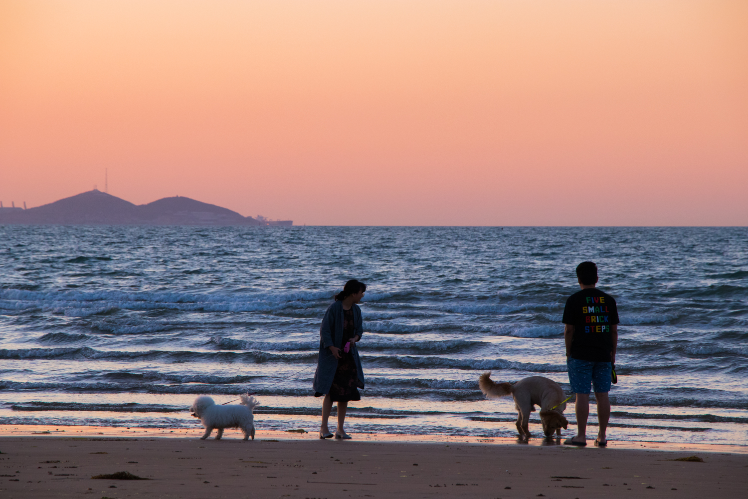 佳能eos77d单反相机机身,佳能eos77d对比苹果手机