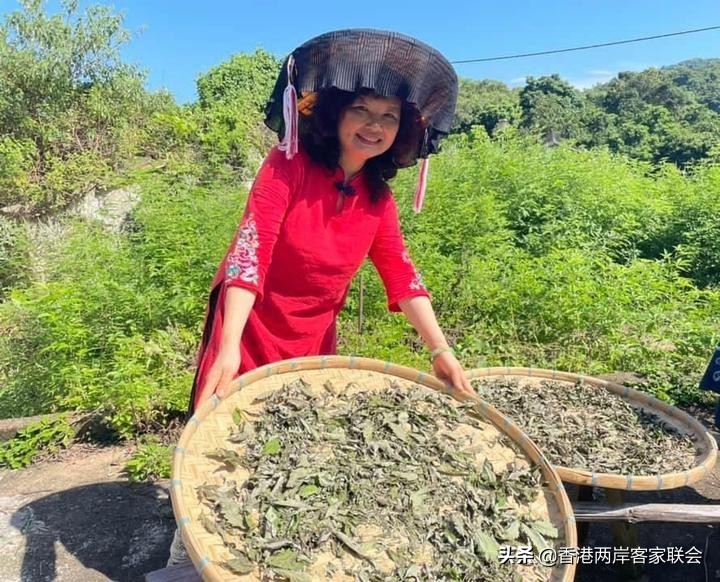 港台海外客家系列之七：客家山地百草园