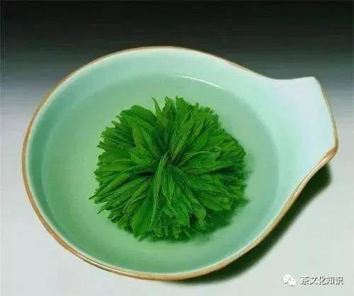茶叶造型大全100种,茶叶的造型手法有哪些图片