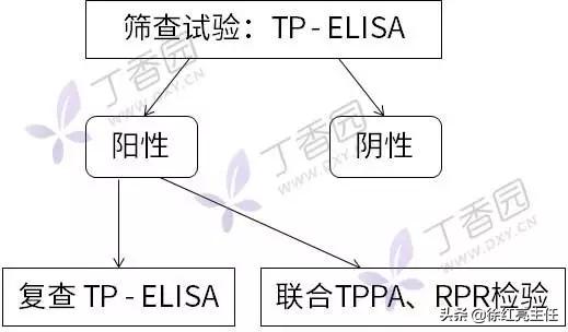 【皮肤科那点事】接触梅毒患者,医生怕不怕被感染?