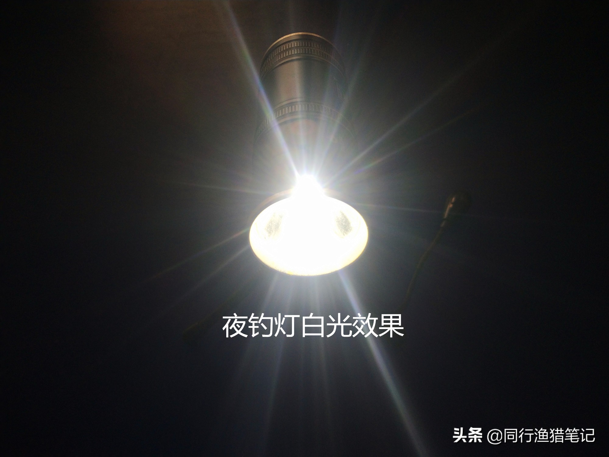 夜钓灯与夜光漂哪个更好用,夜钓鲢鳙用夜钓灯好还是夜光棒好