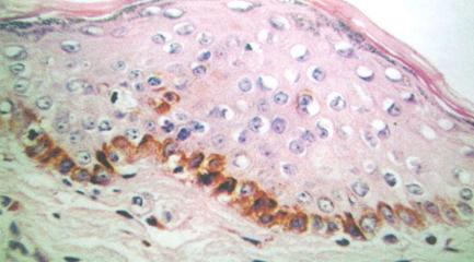 羡慕别人的皮肤好吗,羡慕白皮肤