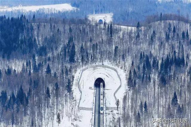 调图后有些车次查不到,调图后的列车去哪了