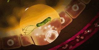 幽门螺杆菌感染如何根治,幽门螺杆菌感染怎么彻底治疗