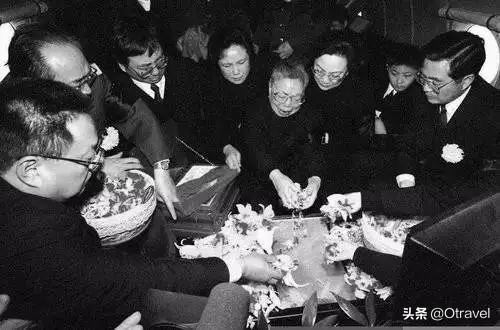 您眼中的深圳是怎么样的？