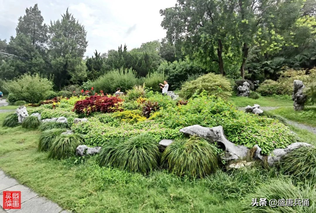 扬州｜垂杨不断接残芜，雁齿红桥俨画图