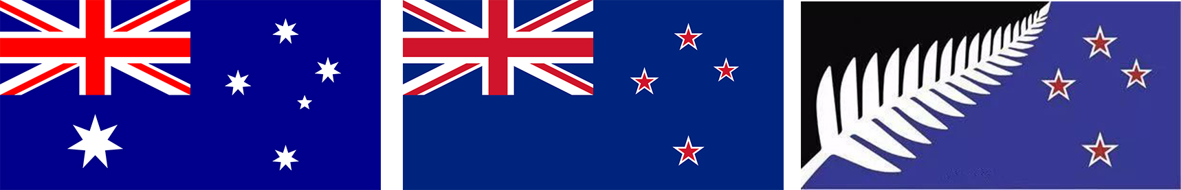 “网络热门*旗国**鉴定”，没用的知识又增加了