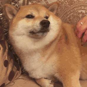 指甲怎么涂简单新奇,指甲怎么涂色好看又简单