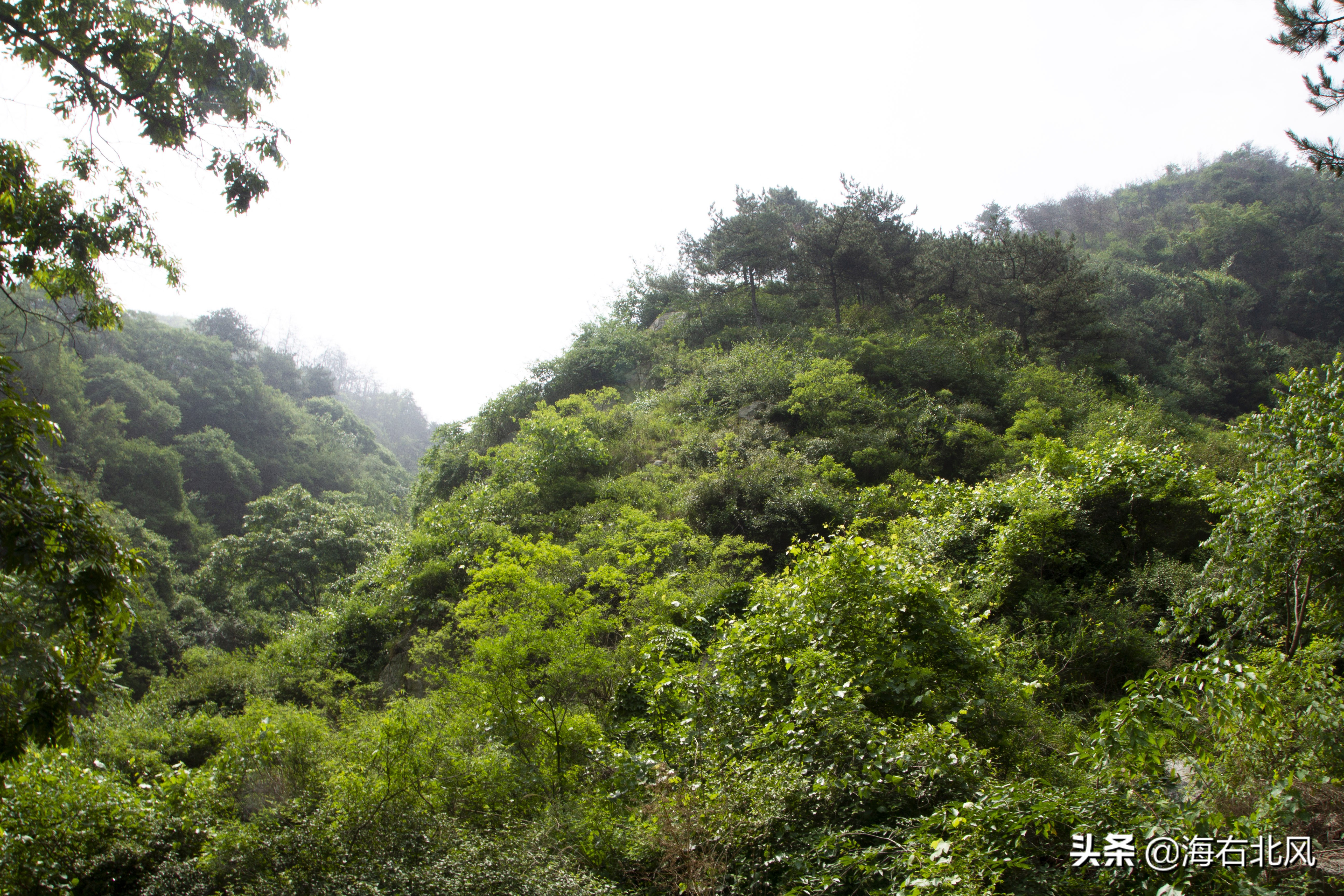 藕池镇有玩游戏的吗,藕塘周边一日游推荐