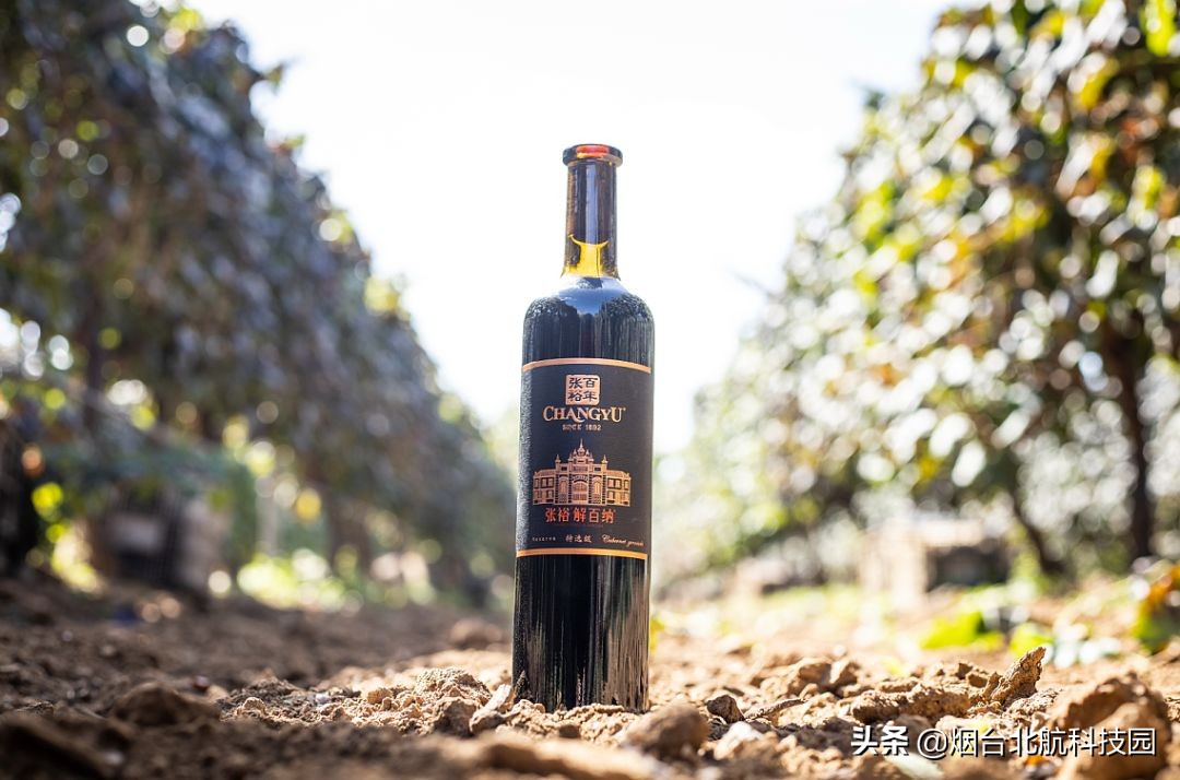 烟台张裕解百纳干红葡萄酒价格表,张裕解百纳葡萄酒怎么样