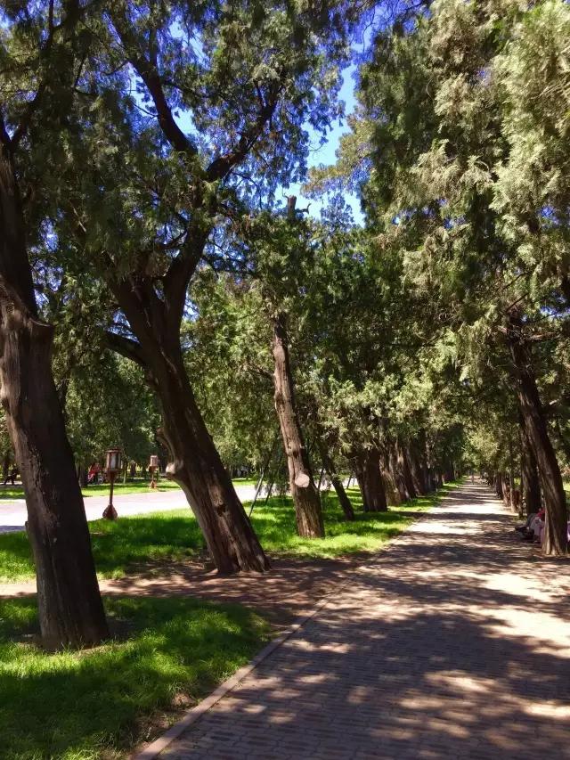 北京天坛的十二大秘密